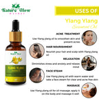 Nature Glow Herbal Ylang Ylang & Orange Essential Oil Combo | Grocsy
