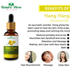 Nature Glow Herbal Ylang Ylang & Orange Essential Oil Combo | Grocsy
