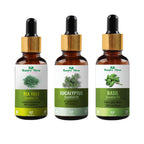 Nature Glow Herbal Tea Tree & Eucallypatus & Basil Essential Oil Combo | Grocsy