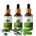 Nature Glow Herbal Tea Tree & Eucallypatus & Basil Essential Oil Combo | Grocsy