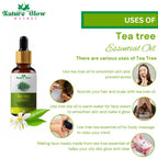 Nature Glow Herbal Tea Tree & Eucallypatus & Basil Essential Oil Combo | Grocsy