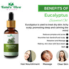 Nature Glow Herbal Sandalwood & Termaric & Eucallypatus Essential Oil Combo | Grocsy