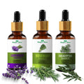 Nature Glow Herbal Lavender & Rosemary & Eucallypatus Essential Oil Combo | Grocsy