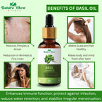 Nature Glow Herbal Rosemary & Sandalwood & Basil Essential Oil Combo | Grocsy