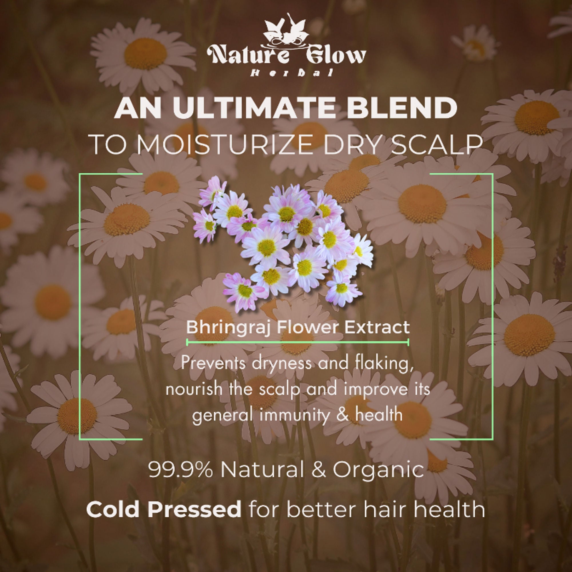 Nature Glow Herbal Bhringraj & 4 In 1 Hair Oil Combo | Grocsy