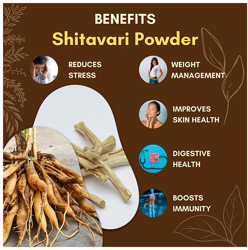 Jaived Ayurveda Shitavari Powder | Grocsy