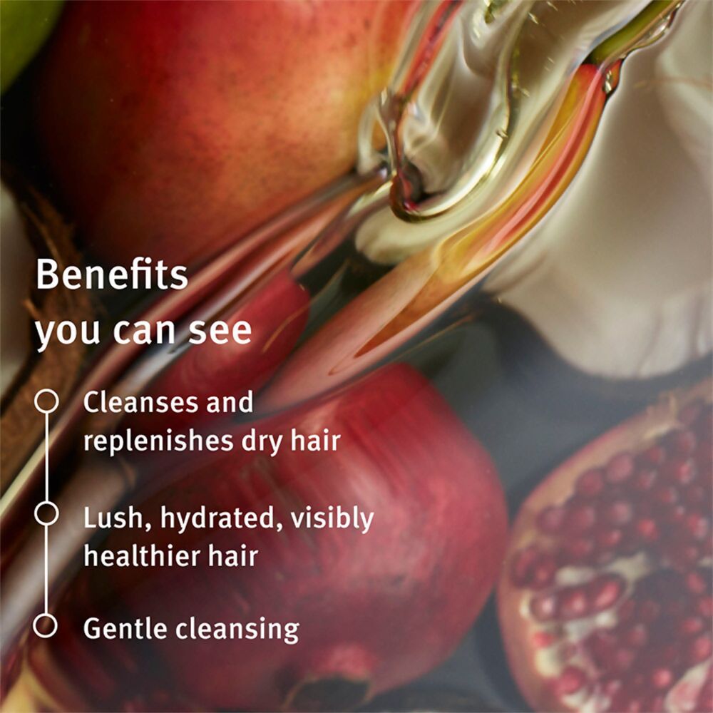 Aveda Nutriplenish Shampoo | Grocsy