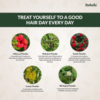 Indalo All-Natural Hair Treatment Pack - Shikakai & Bhringraj | Grocsy