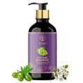 Ivory Natural Hair Volume Shampoo For Thicker And Voluminous Hair | Grocsy