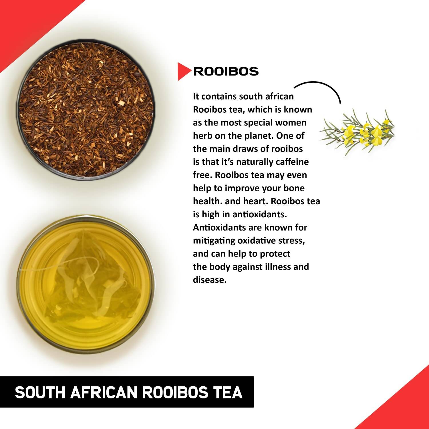 Teacurry South African Rooibos Tea Bags | Grocsy