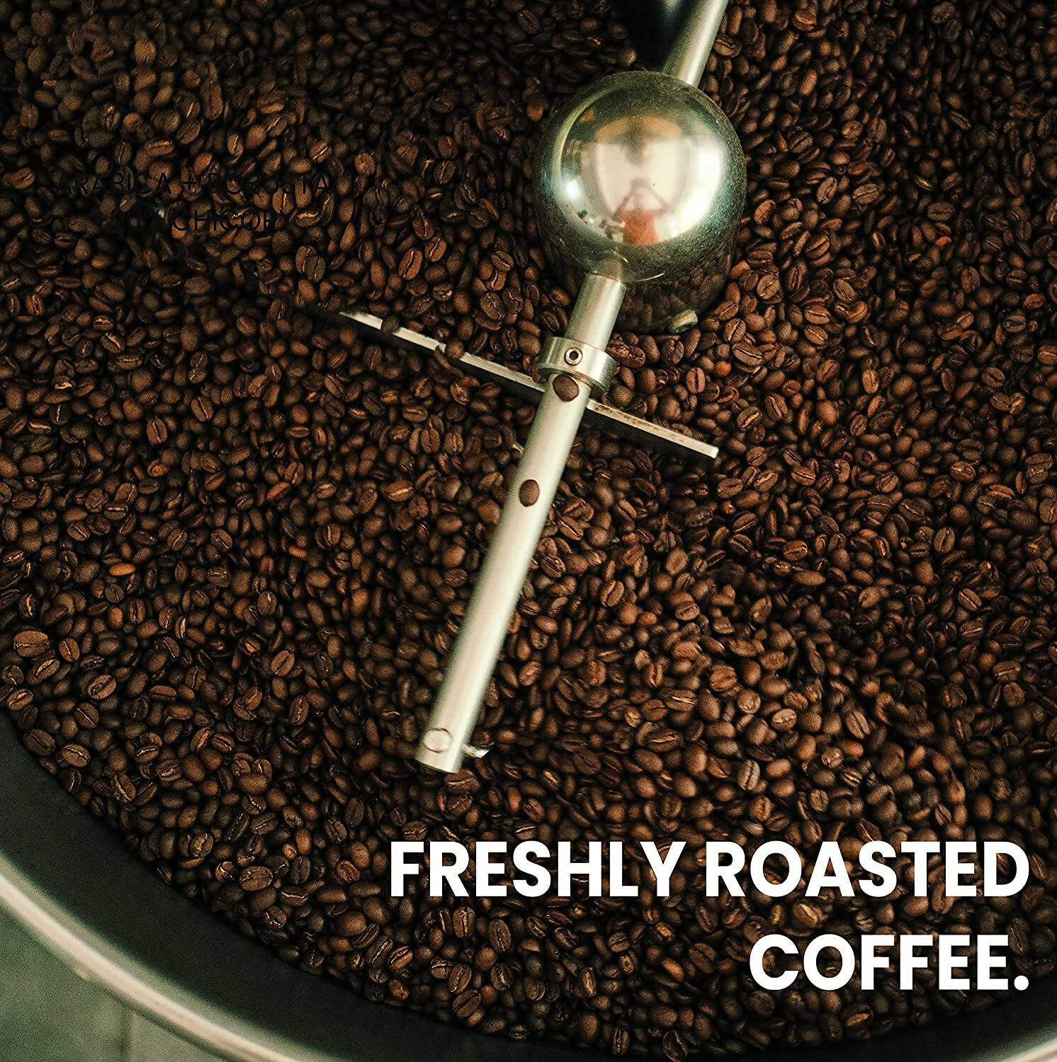 Black Baza Coffee Wanderoo | Grocsy