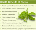 The Indian Chai - Organic Stevia Leaves Tea | Grocsy