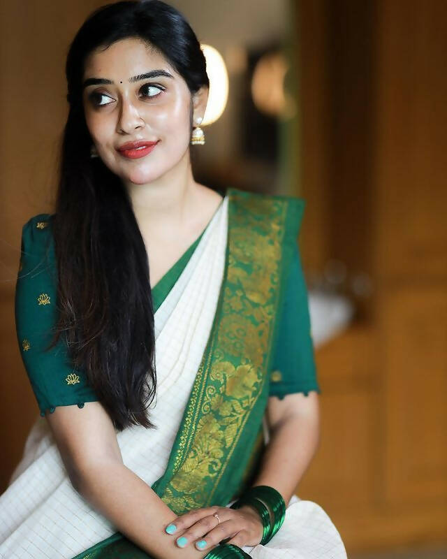 DEIANA'S Beautiful Designer Golden zari Soft Lichi Silk Saree - Green | Grocsy