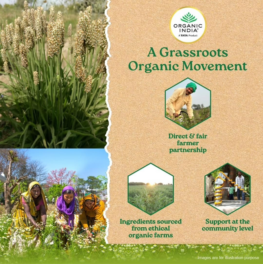 Organic India Sat Isabgol Psyllium Whole Husk Powder | Grocsy