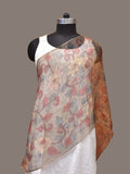 Cream Kalamkari Hand Painted Organza Stole with Floral Design - Global Threads | Grocsy