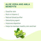 Vitro Naturals Healthy Amla Juice | Grocsy