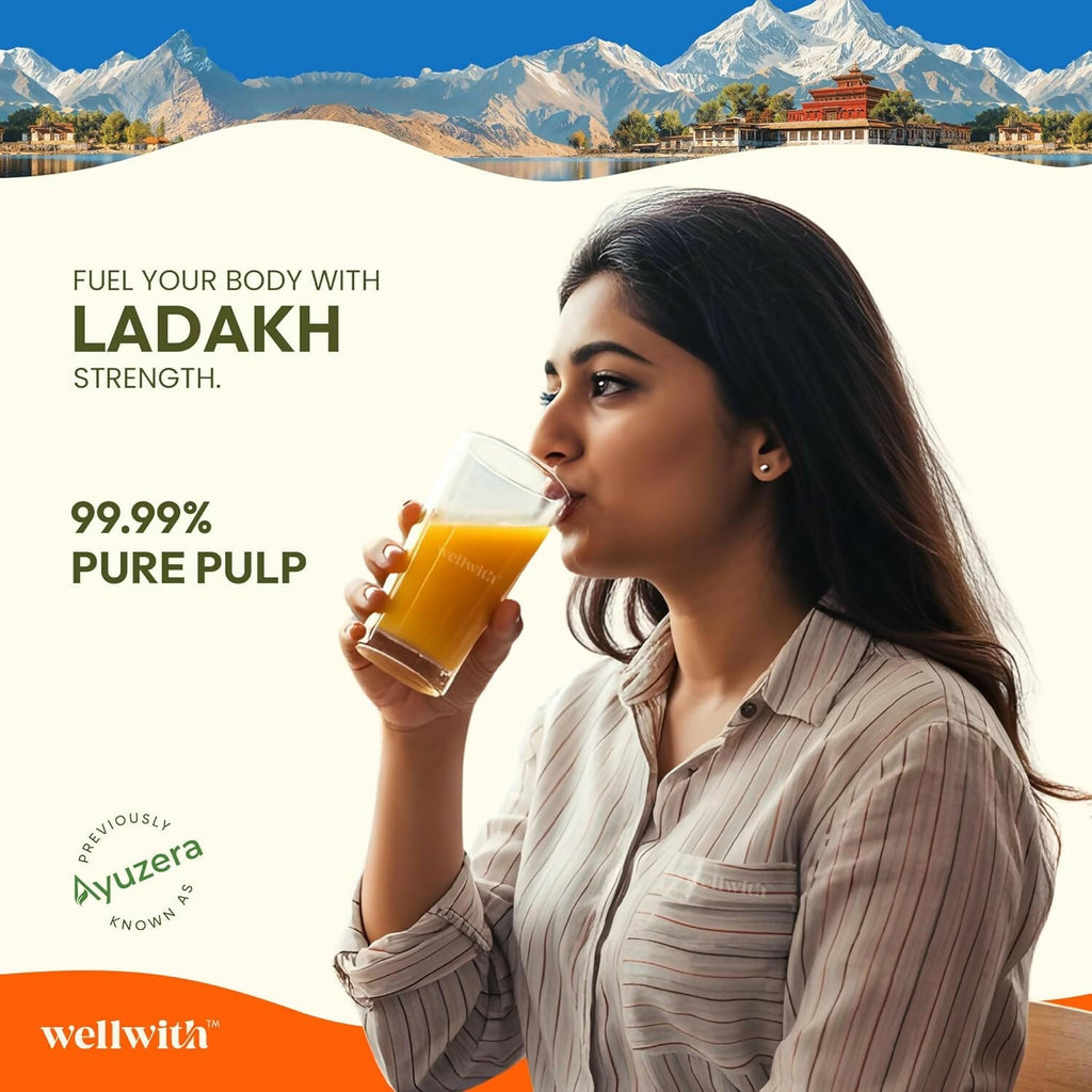 Wellwith Himalayan Sea Buckthorn Pulp | Grocsy