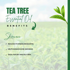 Camia Organic Tea Tree Essential Oil | Grocsy