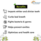 Dr. Morepen Active Smile Charcoal Toothpaste for Teeth Whitening & Bad Breath Removal | Grocsy