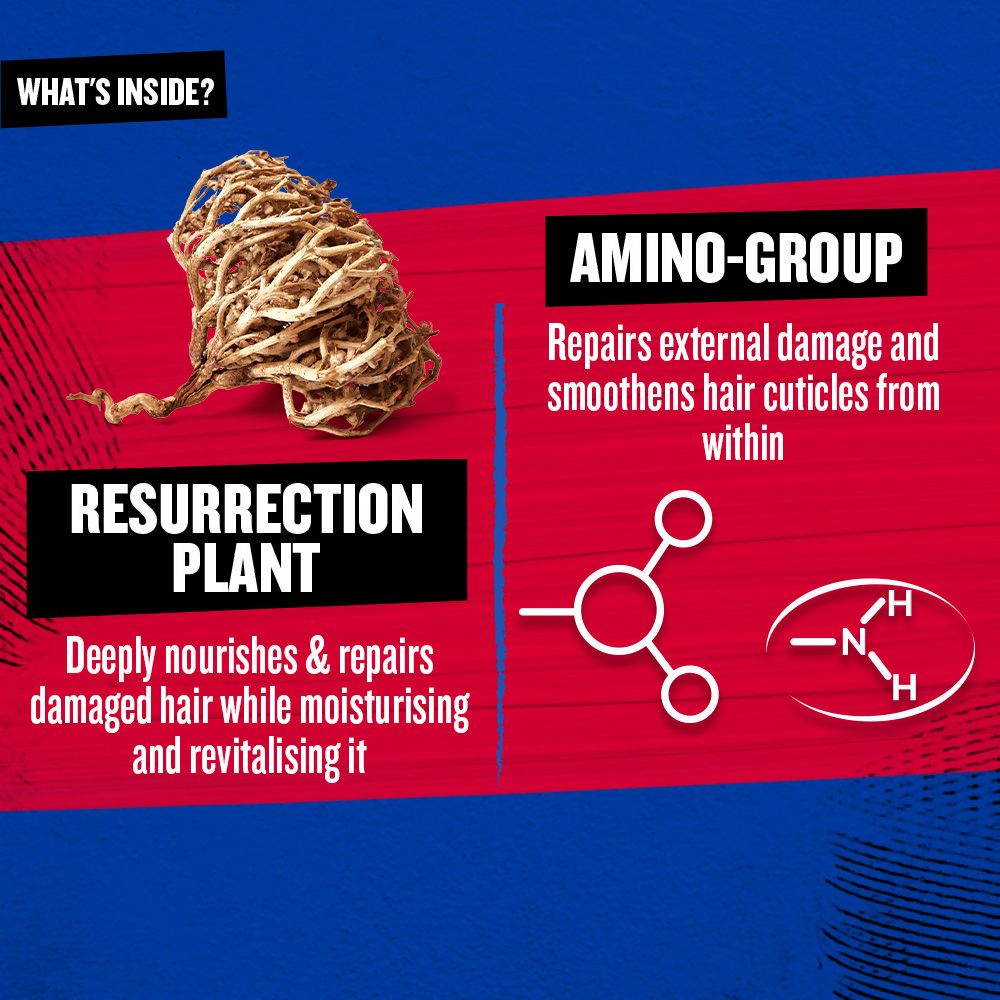 TIGI Bed Head Resurrection Super Repair Shampoo | Grocsy