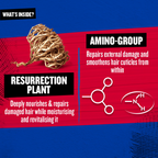 TIGI Bed Head Resurrection Super Repair Shampoo | Grocsy