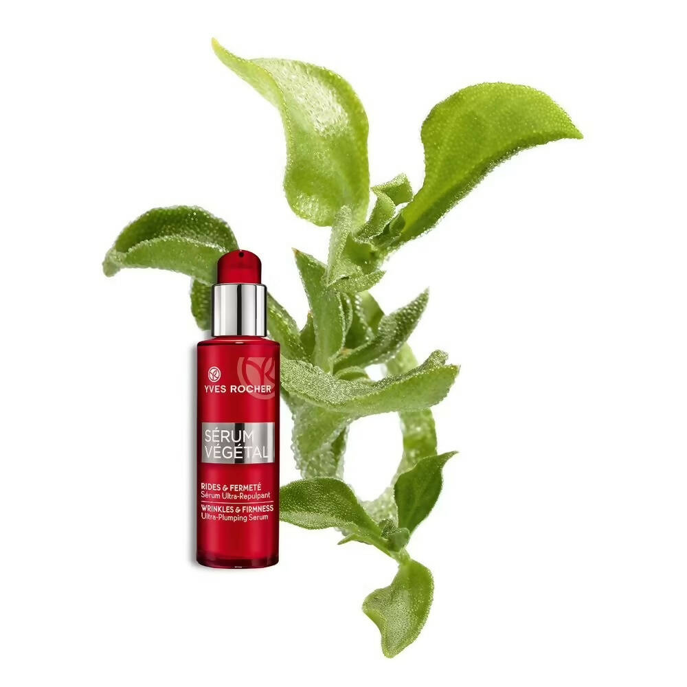 Yves Rocher Vegetal Ultra Plumping Serum | Grocsy
