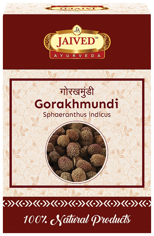 Jaived Ayurveda Gorakhmundi | Grocsy