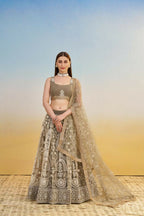 Aastha Fashion Ivory Butterfly Net White Cotton Thread Work And Sequence Work Embroidery Wedding Wear Lehenga Choli | Grocsy