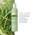 Milkshake Energizing Blend Shampoo For Hair Loss, Fine Hair With Organic Rosemary & Sage | Grocsy