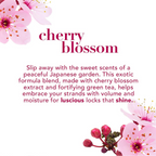 OGX Heavenly Hydration Cherry Blossom Shampoo | Grocsy