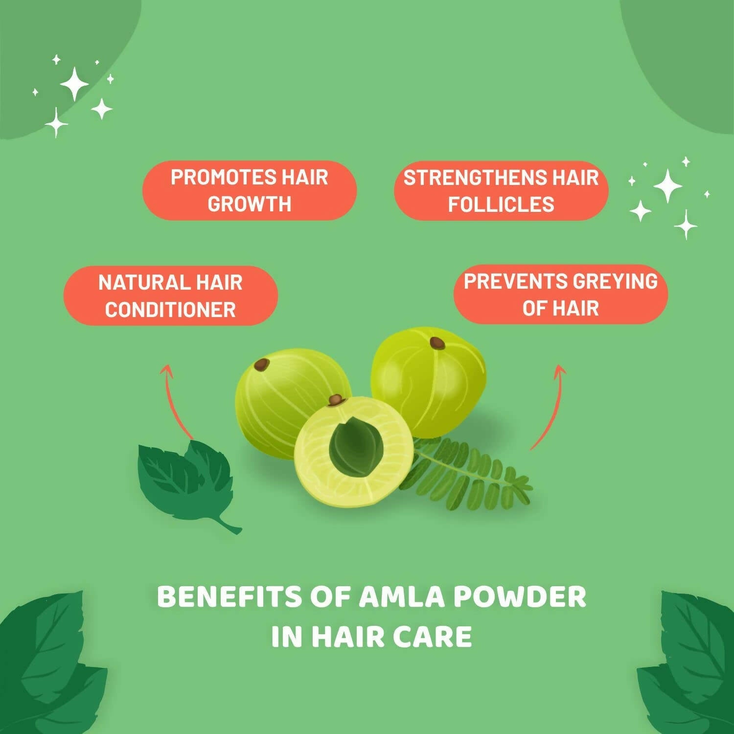 Carbamide Forte Amla Powder for Hair Growth & Skin | Grocsy