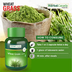 Herbal Canada Wheat Grass Capsules | Grocsy