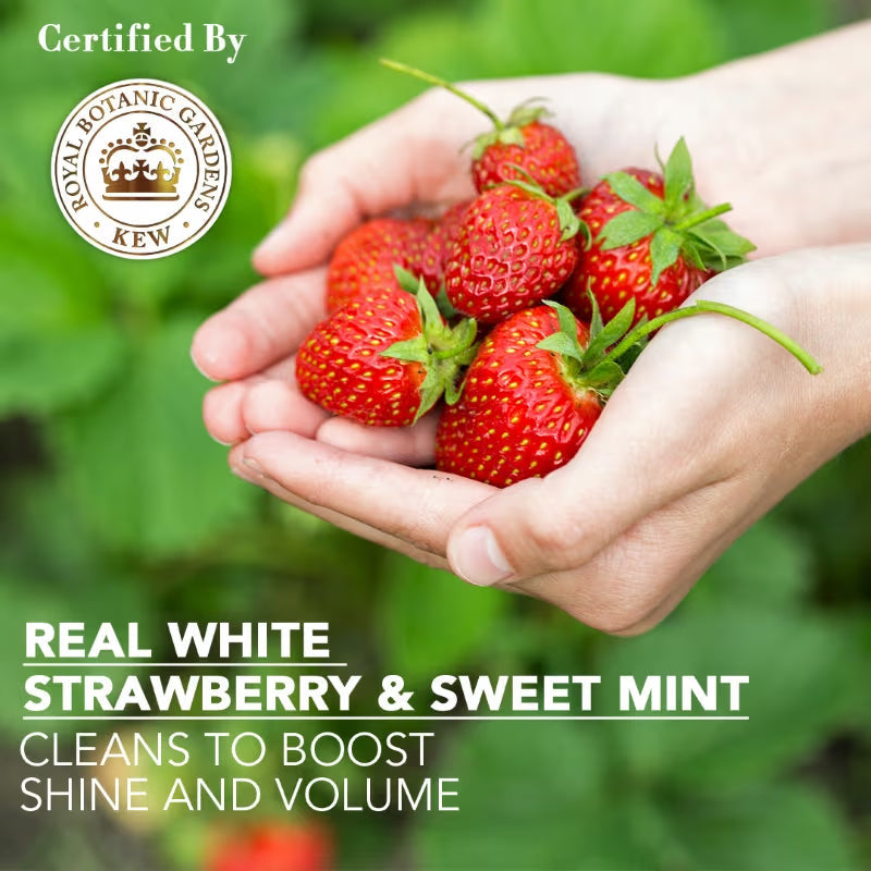 Herbal Essences Clean White Strawberry & Sweet Mint Conditioner | Grocsy