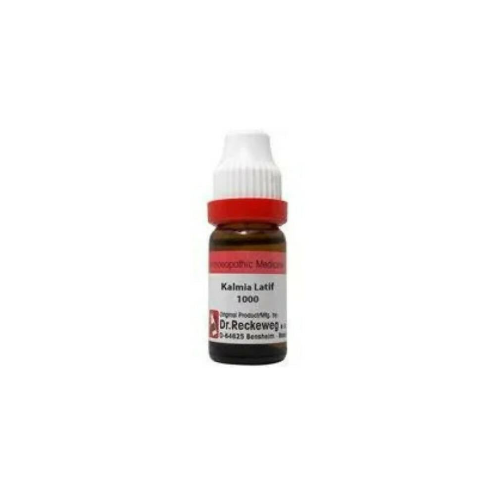 Dr. Reckeweg Kalmia Latif Dilution | Grocsy