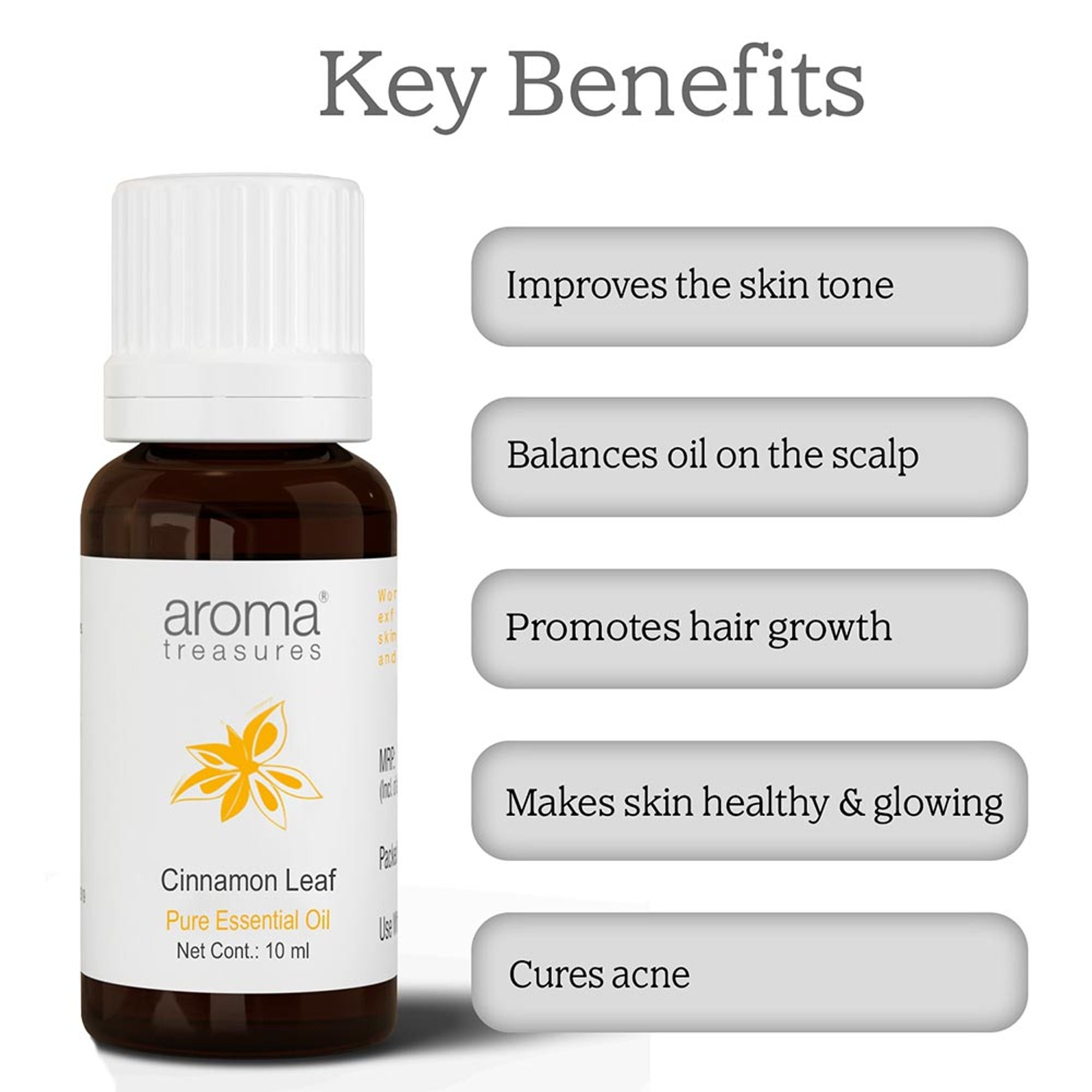 Aroma Treasures Cinnamon Leaf Pure Essential Oil | Grocsy