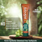 Edinora Prime Ayurvedic Toothpaste | Grocsy
