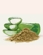 Simandhar Aloevera Powder | Grocsy