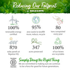 Bigelow Tea Constant Comment Black Tea Freshness & Aroma Caffeinated | Grocsy