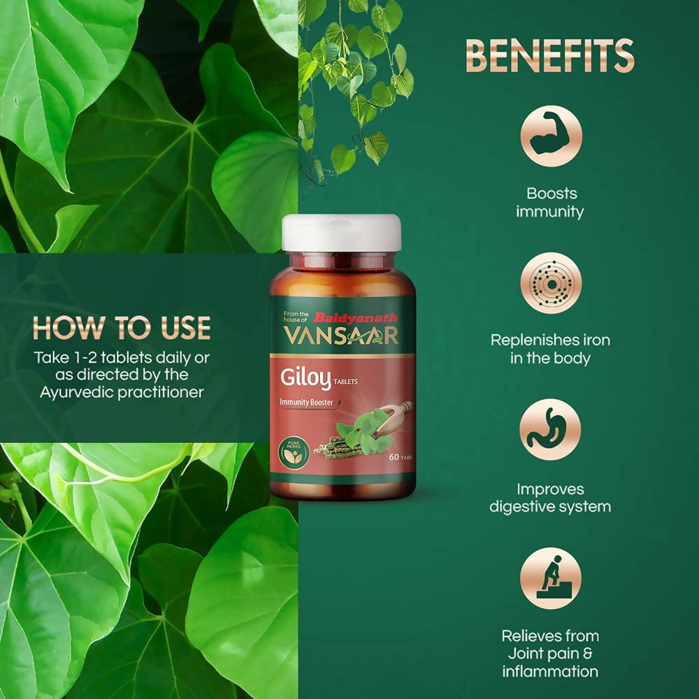Baidyanath Vansaar Giloy Tablets | Grocsy