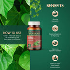 Baidyanath Vansaar Giloy Tablets | Grocsy