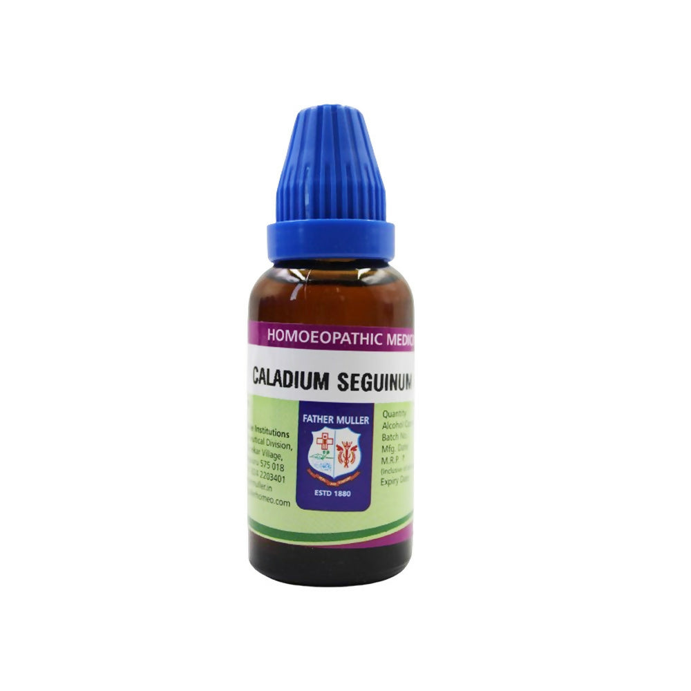 Father Muller Caladium Seguinum Mother Tincture Q | Grocsy