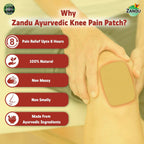 Zandu Ayurvedic Knee Pain Relief Patch | Grocsy