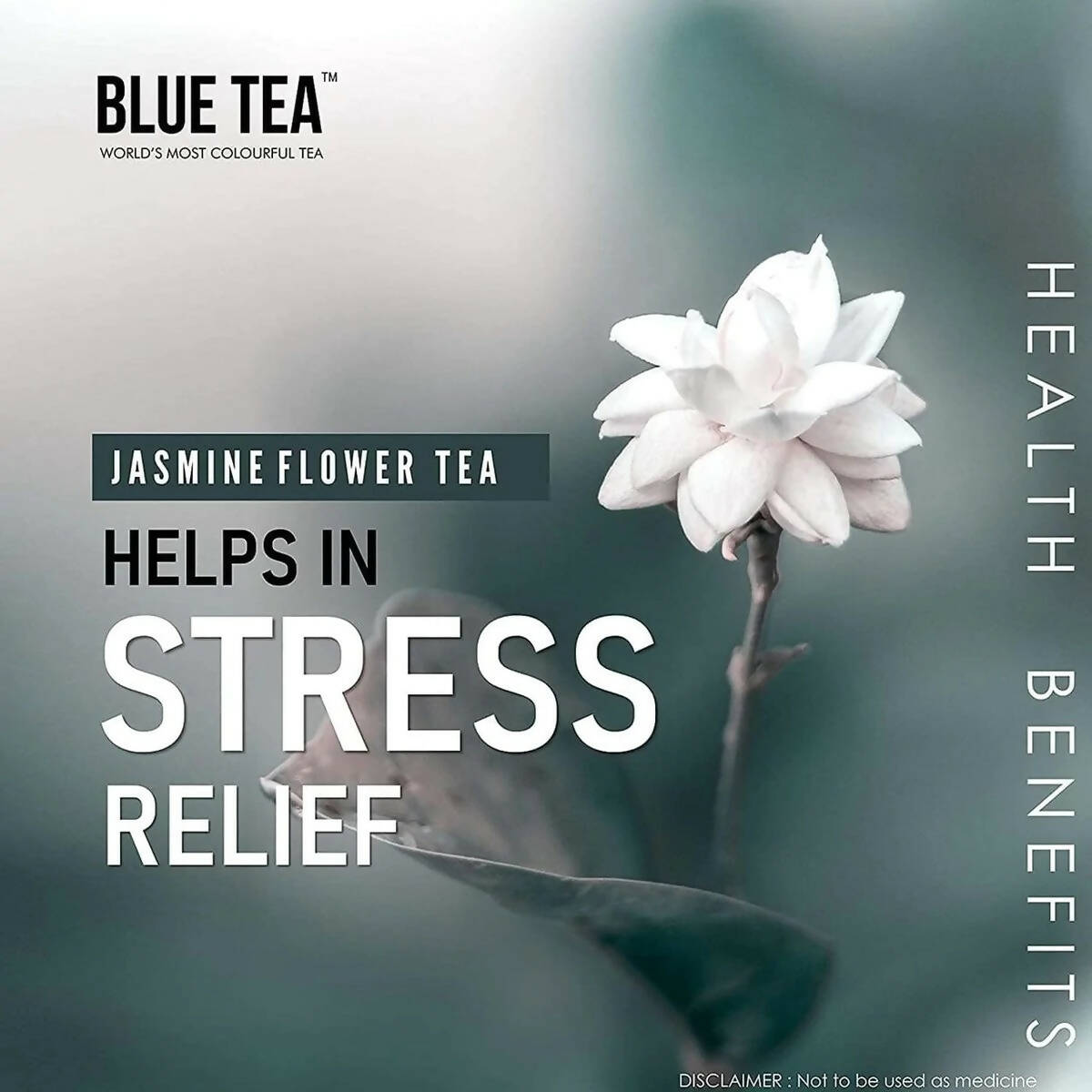 Blue Tea Organic Jasmine Green Tea | Grocsy