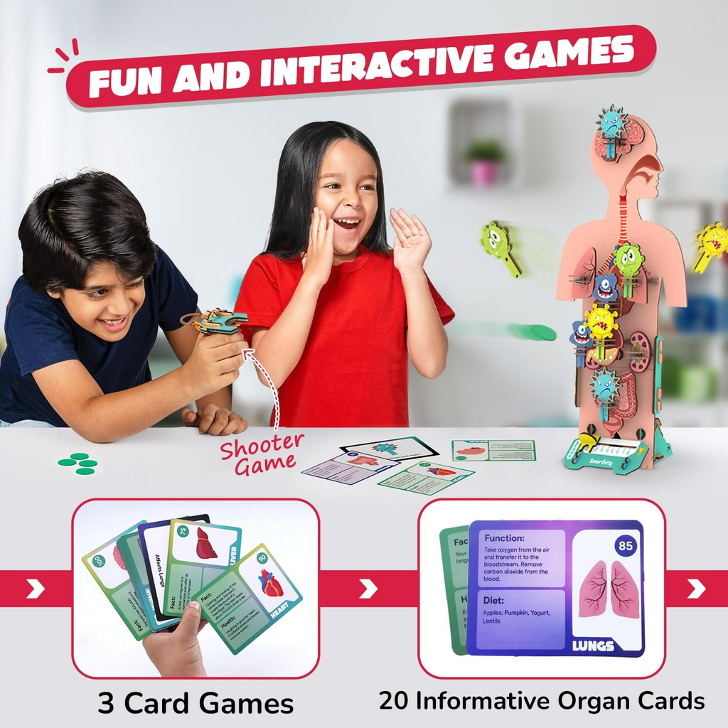Smartivity Human Body Toy For Kids 6-12 Years Body Organs & Functions | Grocsy