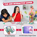 Smartivity Human Body Toy For Kids 6-12 Years Body Organs & Functions | Grocsy