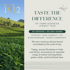 Luxmi Estates Rooibos Chai Herbal Infusion | Grocsy
