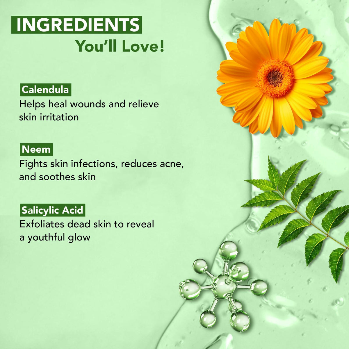 Botanic Hearth Calendula, Neem & Salicylic Acid Body Wash | Grocsy