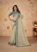 Light Green Net Organza Georgette Thread, Sequence, Cord Embroidered with Moti Work Saree - Mohmanthan Dakshika | Grocsy