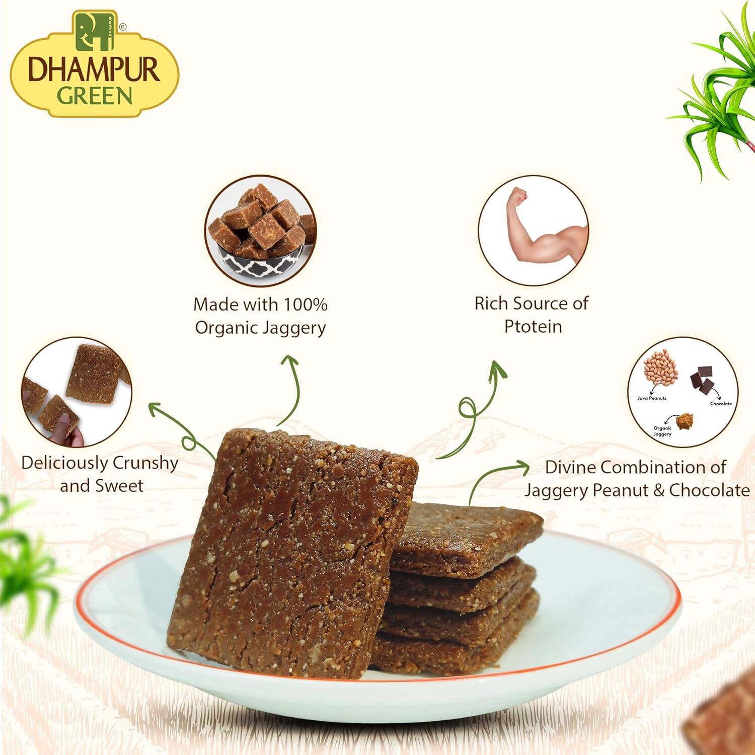 Dhampur Green Chocolate Peanut Chikki | Grocsy