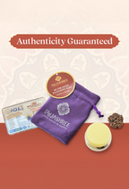 Pujashree Panchmukhi Rudraksh Single Bead – Sacred Five Mukhi Rudraksha for Protection & Peace | Grocsy